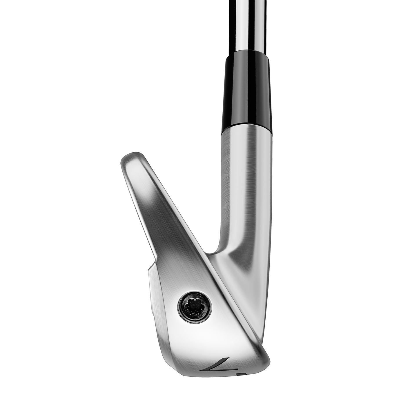Taylormade P770 Irons